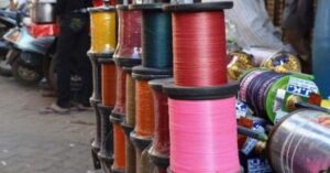 Read more about the article पतंग उड़ाने में उपयोग होने वाले घातक मांझे पर प्रतिबंध का सुझाव