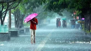 Read more about the article MP: अगले 24 घंटे में सक्रिय हो रहा है नया सिस्टम, बुधवार को रतलाम-मंदसौर समेत 5 जिलों में तेज बारिश का अनुमान