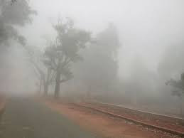 Read more about the article उत्तर की बर्फीली हवाओं ने बढ़ाई ठिठुरन, अगले 3 दिन रहेगा कड़ाके की ठंड का असर …