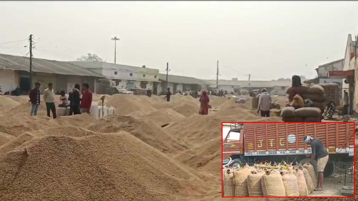 You are currently viewing मध्य प्रदेश में धान खरीदी घोटाला: जबलपुर में 74 पर FIR, फर्जी वाहनों से हुआ करोड़ों का खेल!