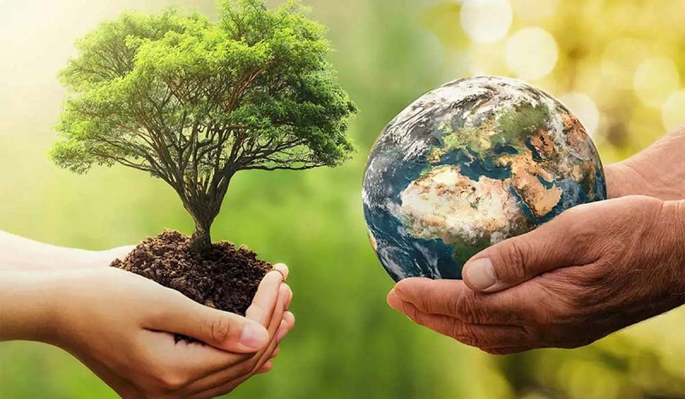 You are currently viewing 22 अप्रैल को सभी स्कूलों में मनाया जाएगा पृथ्वी दिवस, पेड़ों पर लगेंगे क्यूआर कोड; छात्र बनाएंगे डिजिटल जानकारी