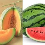 गर्मी में कच्चे तरबूज और खरबूजे को घर पर ही प्राकृतिक तरीकों से कैसे पकाएं: सेहत के लिए फायदेमंद देसी नुस्खे