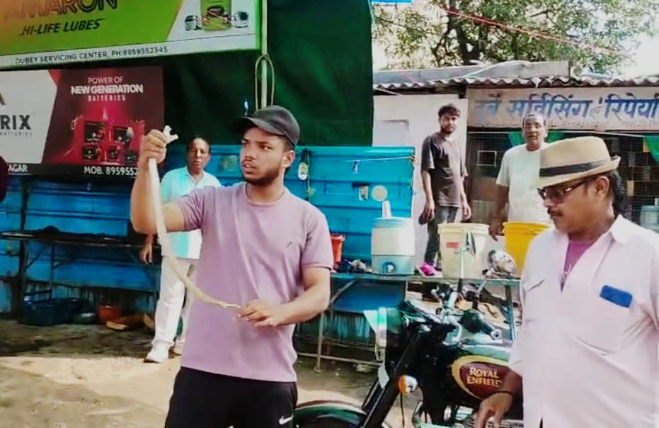 You are currently viewing सागर में बुलेट से निकला ज़हरीला रसेल वाइपर, बाल-बाल बची छात्र की जान; दो घंटे तक मौत को लेकर घूमता रहा लकी!