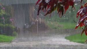 Read more about the article मध्यप्रदेश में फिर लौट रहा है बारिश का कहर: जबलपुर समेत 12 जिलों में भारी बारिश का अलर्ट, बंगाल की खाड़ी से आ रहा नया तूफानी सिस्टम!