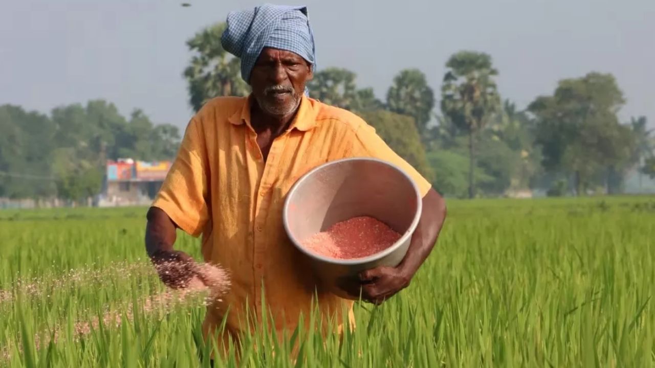 You are currently viewing एमपी के किसानों के लिए गुड न्यूज! ‘गैस सिलेंडर’ की तरह राज्य सरकार घर-घर पहुंचाएगी खाद