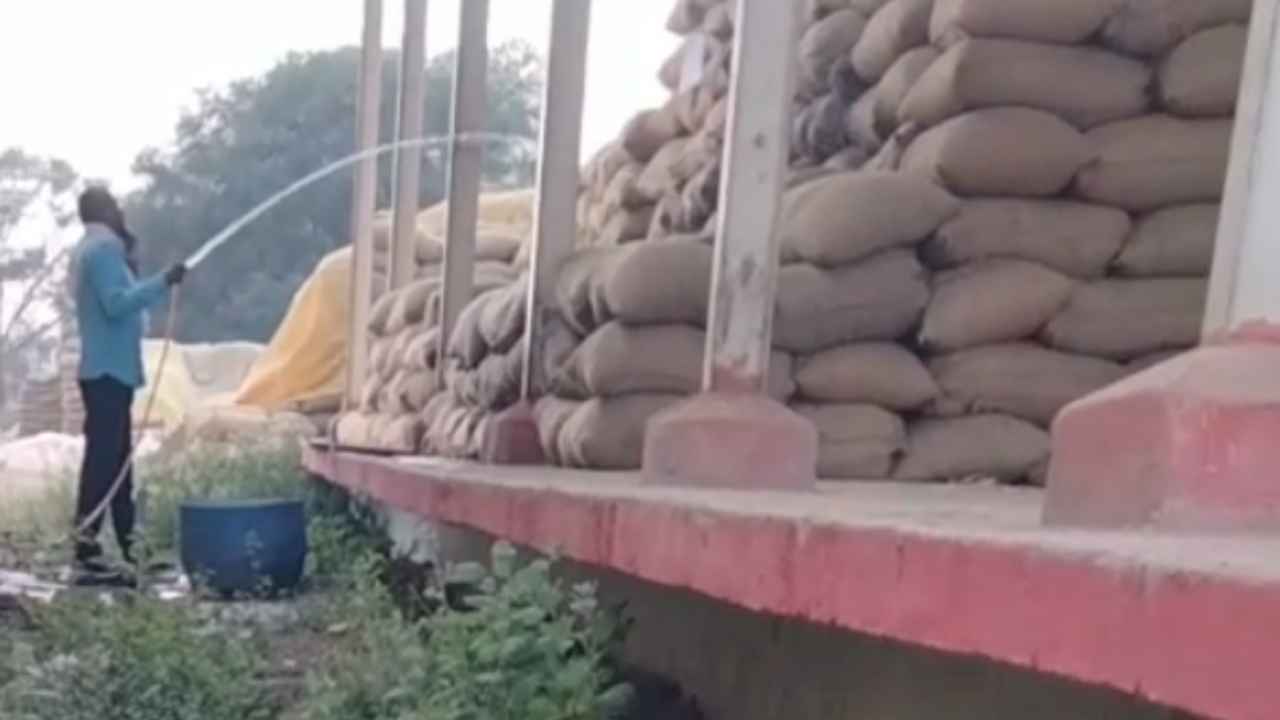 You are currently viewing Raipur: आरंग धान खरीदी केंद्र में गड़बड़ी, वजन बढ़ाने धान को पानी से भिगोया, Video वायरल